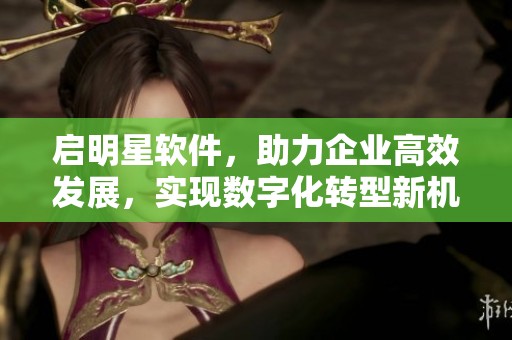 启明星软件，助力企业高效发展，实现数字化转型新机遇