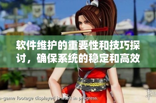 软件维护的重要性和技巧探讨，确保系统的稳定和高效运行。