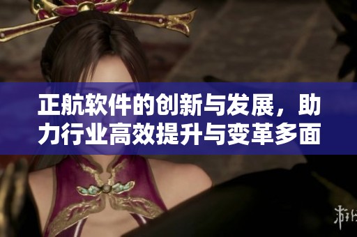正航软件的创新与发展，助力行业高效提升与变革多面向