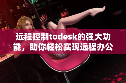 远程控制todesk的强大功能，助你轻松实现远程办公与协作。