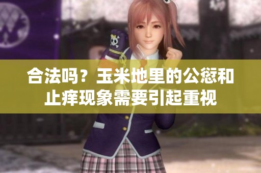 合法吗？玉米地里的公愆和止痒现象需要引起重视