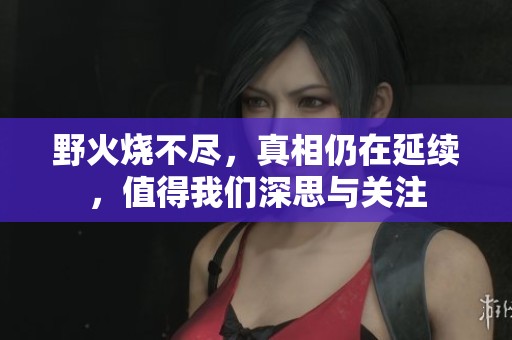 野火烧不尽，真相仍在延续，值得我们深思与关注