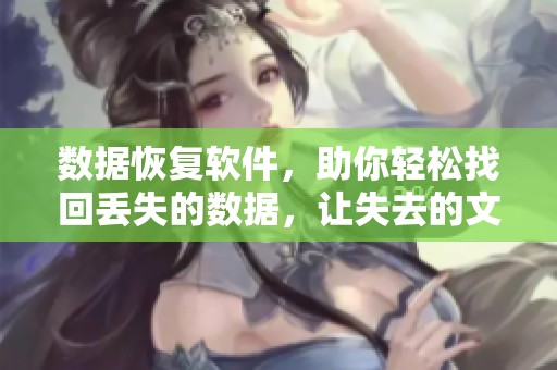 数据恢复软件，助你轻松找回丢失的数据，让失去的文件重见天日