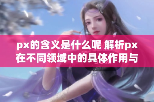 px的含义是什么呢 解析px在不同领域中的具体作用与意义