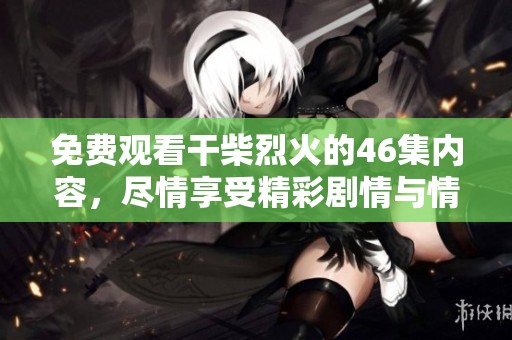 免费观看干柴烈火的46集内容，尽情享受精彩剧情与情感故事