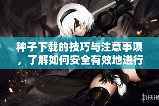 种子下载的技巧与注意事项，了解如何安全有效地进行种子下载