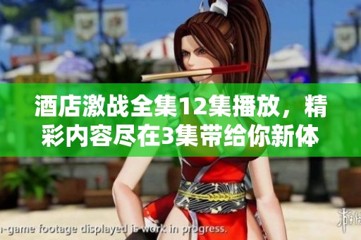 酒店激战全集12集播放，精彩内容尽在3集带给你新体验