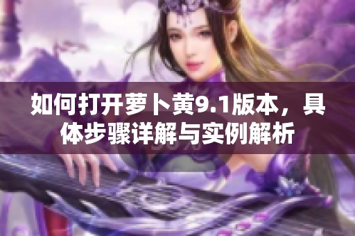 如何打开萝卜黄9.1版本，具体步骤详解与实例解析