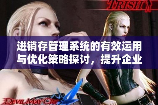 进销存管理系统的有效运用与优化策略探讨，提升企业运营效率