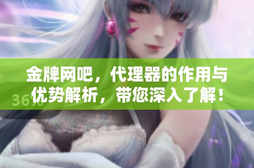 金牌网吧，代理器的作用与优势解析，带您深入了解！