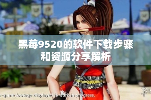 黑莓9520的软件下载步骤和资源分享解析
