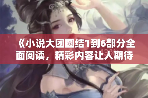《小说大团圆结1到6部分全面阅读，精彩内容让人期待》