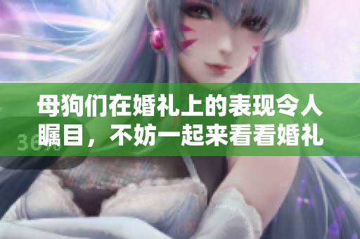 母狗们在婚礼上的表现令人瞩目，不妨一起来看看婚礼的精彩瞬间吧