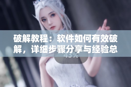 破解教程：软件如何有效破解，详细步骤分享与经验总结