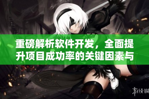 重磅解析软件开发，全面提升项目成功率的关键因素与策略