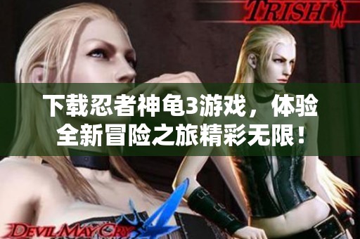下载忍者神龟3游戏，体验全新冒险之旅精彩无限！