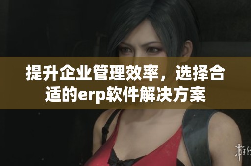 提升企业管理效率，选择合适的erp软件解决方案