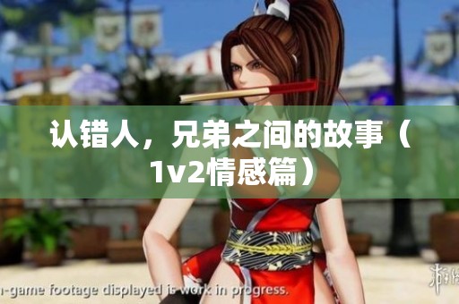 认错人，兄弟之间的故事（1v2情感篇）