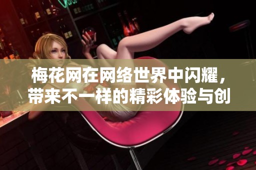梅花网在网络世界中闪耀，带来不一样的精彩体验与创新服务