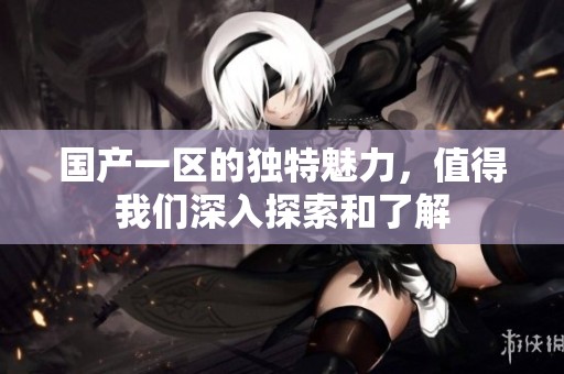 国产一区的独特魅力，值得我们深入探索和了解