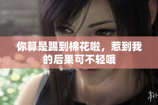 你算是踢到棉花啦，惹到我的后果可不轻哦