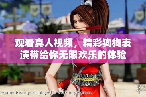 观看真人视频，精彩狗狗表演带给你无限欢乐的体验