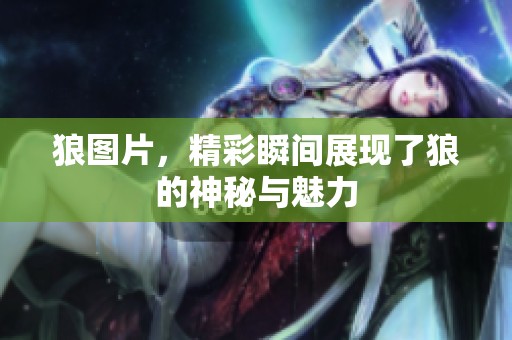 狼图片，精彩瞬间展现了狼的神秘与魅力