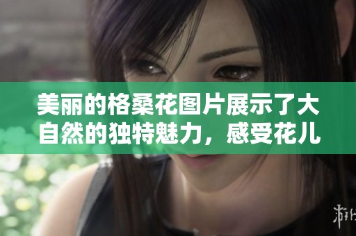 美丽的格桑花图片展示了大自然的独特魅力，感受花儿的绚丽风采。