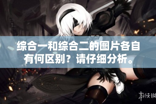 综合一和综合二的图片各自有何区别？请仔细分析。