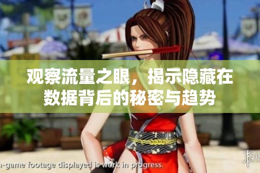 观察流量之眼，揭示隐藏在数据背后的秘密与趋势