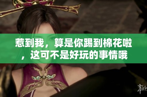 惹到我，算是你踢到棉花啦，这可不是好玩的事情哦