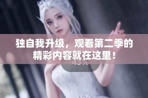 独自我升级，观看第二季的精彩内容就在这里！