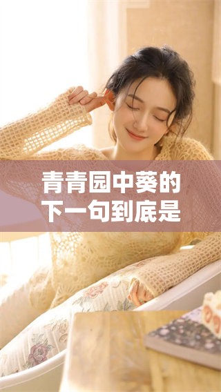 青青园中葵的下一句到底是什么呢？让我们一起探索吧！