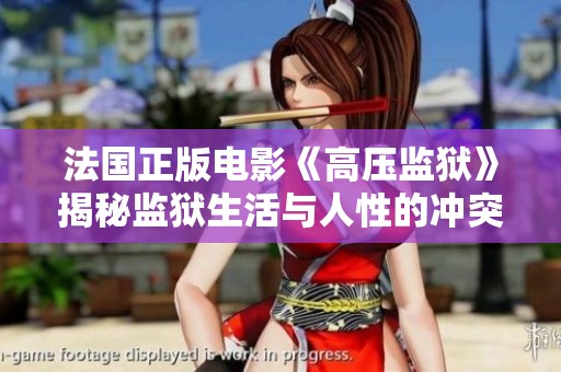 法国正版电影《高压监狱》揭秘监狱生活与人性的冲突与挑战
