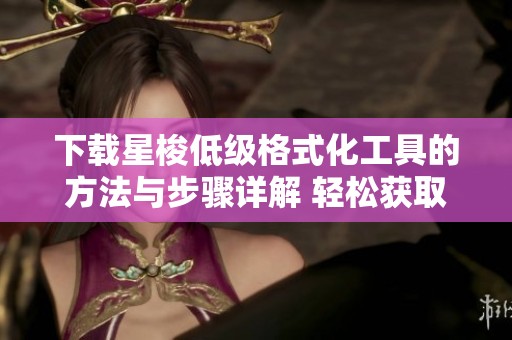 下载星梭低级格式化工具的方法与步骤详解 轻松获取最新版本