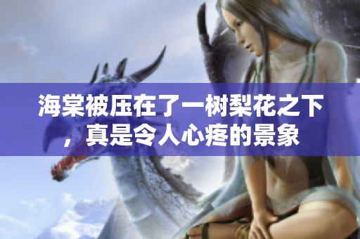 海棠被压在了一树梨花之下，真是令人心疼的景象