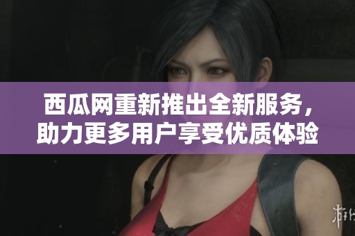 西瓜网重新推出全新服务，助力更多用户享受优质体验