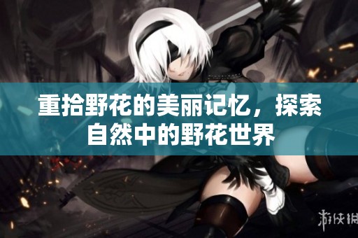 重拾野花的美丽记忆，探索自然中的野花世界