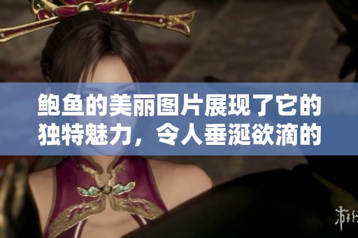 鲍鱼的美丽图片展现了它的独特魅力，令人垂涎欲滴的美味相伴。