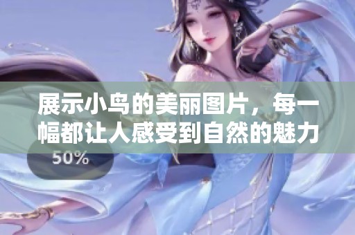 展示小鸟的美丽图片，每一幅都让人感受到自然的魅力与生机