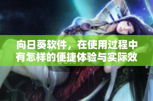 向日葵软件，在使用过程中有怎样的便捷体验与实际效果呢