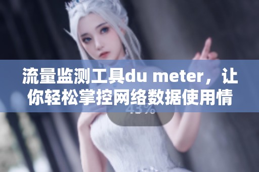 流量监测工具du meter，让你轻松掌控网络数据使用情况