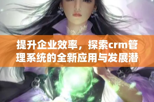 提升企业效率，探索crm管理系统的全新应用与发展潜力