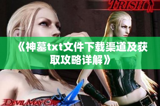 《神墓txt文件下载渠道及获取攻略详解》