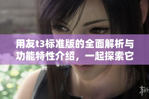 用友t3标准版的全面解析与功能特性介绍，一起探索它的实用价值与优势