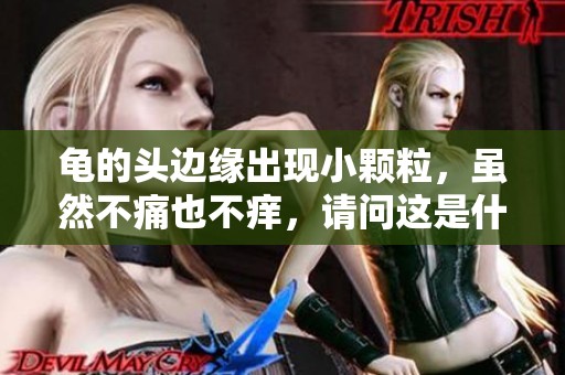 龟的头边缘出现小颗粒，虽然不痛也不痒，请问这是什么情况