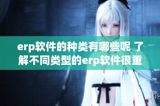 erp软件的种类有哪些呢 了解不同类型的erp软件很重要