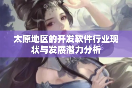 太原地区的开发软件行业现状与发展潜力分析