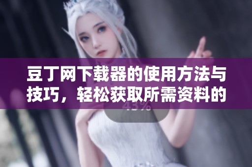 豆丁网下载器的使用方法与技巧，轻松获取所需资料的小助手