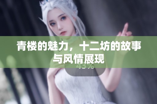 青楼的魅力，十二坊的故事与风情展现